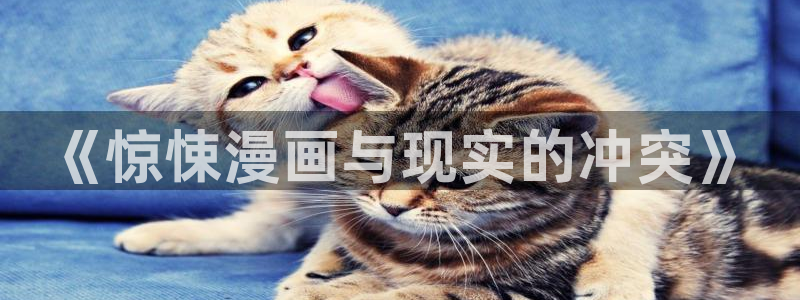 汗汗漫画看