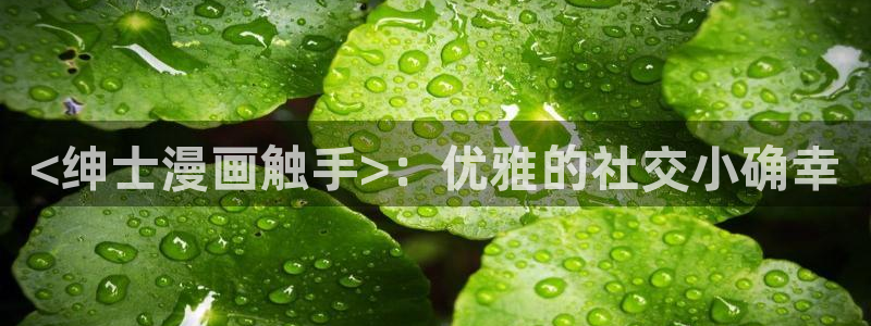 汗汗漫画免费登录入口界面：<绅士漫画触手>：优雅的社交小确幸