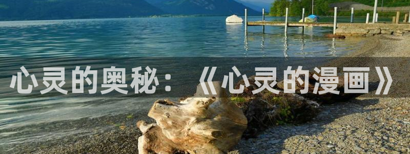 汗汗漫画艳母：心灵的奥秘：《心灵的漫画》