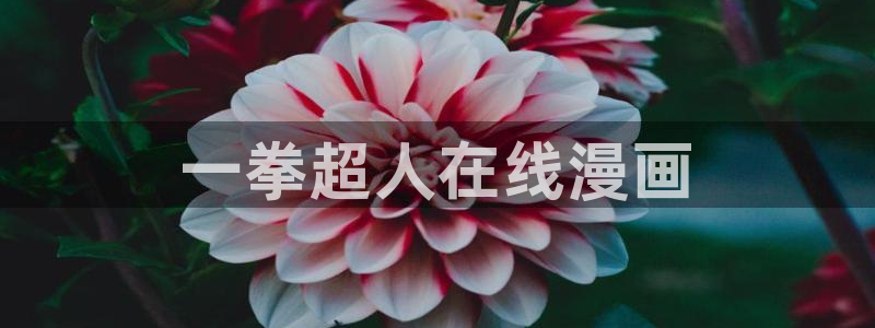 汗汗漫画入口处