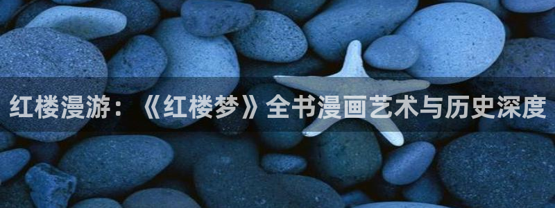 歪歪漫画一汗汗漫画：红楼漫游：《红楼梦》全书漫画艺术与历史深度