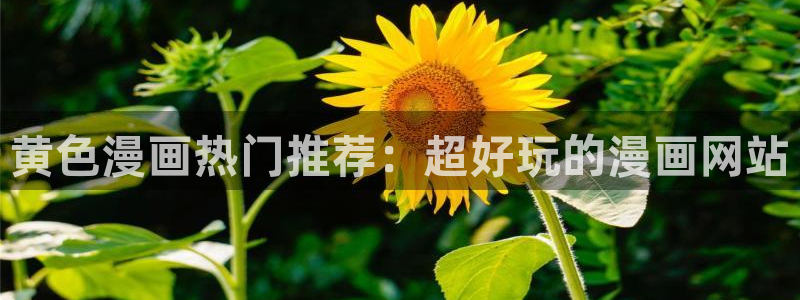 汗汗漫画首页登录免费入口：黄色漫画热门推荐：超好玩的漫画网站