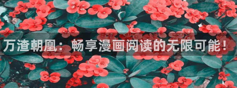歪歪汗汗漫画ssss：万渣朝凰：畅享漫画阅读的无限可能！