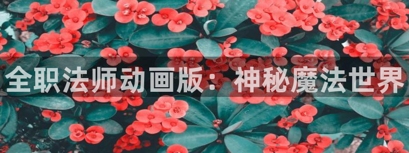 汗汗漫画页面：全职法师动画版：神秘魔法世界