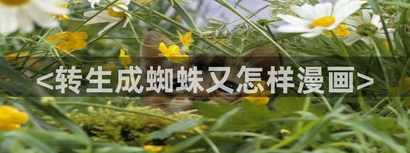 汗汗漫画在线观看网站入口：<转生成蜘蛛又怎样漫画>