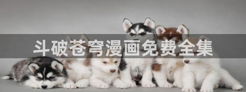 汗汗漫画漫画：斗破苍穹漫画免费全集