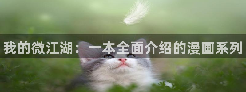 汗汗漫画书：我的微江湖：一本全面介绍的漫画系列
