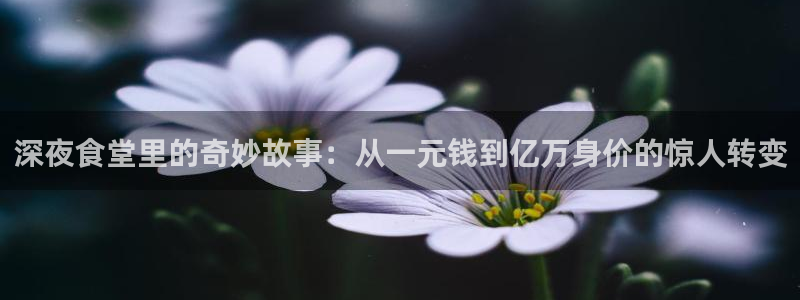 汗汗漫画免费在线阅读：深夜食堂里的奇妙故事：从一元钱到亿万身价的惊人转变