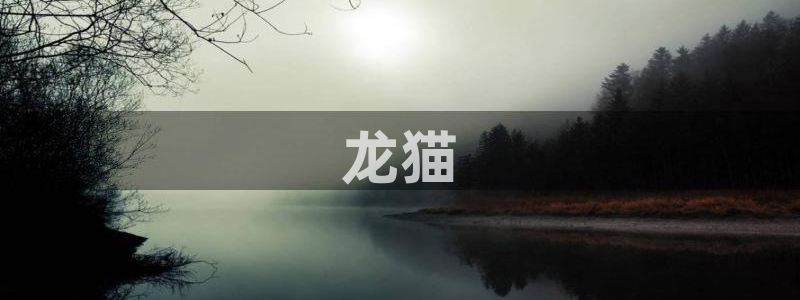 汗汗漫画无删减：龙猫
