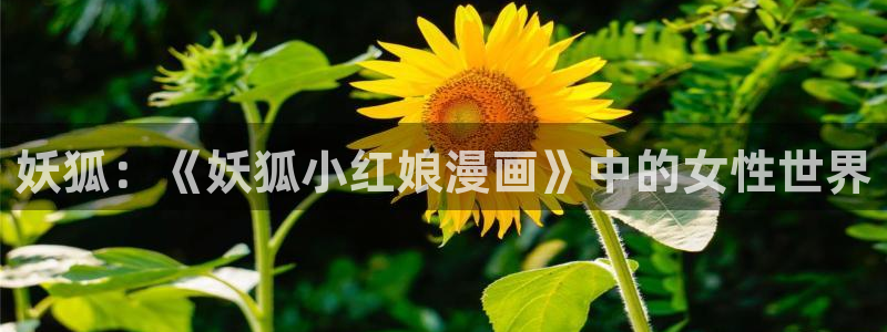汗汗漫画登录首页：妖狐：《妖狐小红娘漫画》中的女性世界